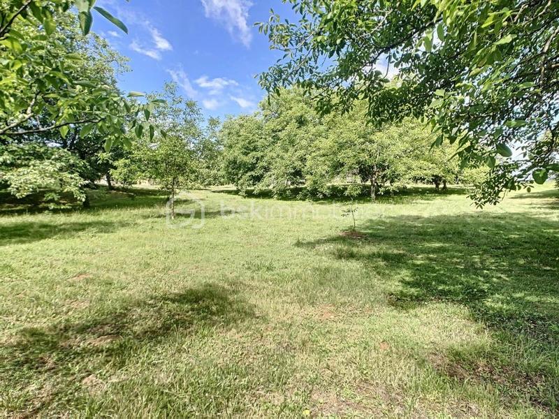 Corps de ferme - 80 m² - 1 pièce