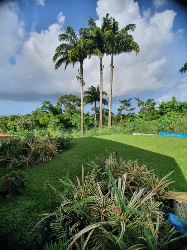 Maison d'architecte - 280 m² - 6 pièces