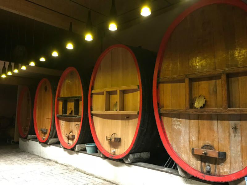 Dégustation : vins et mets grecs