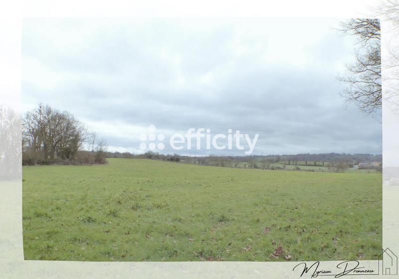 Terrain - 10 000 m²