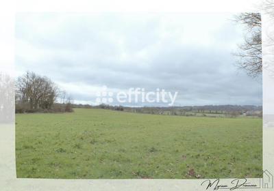 Terrain - 10 000 m²