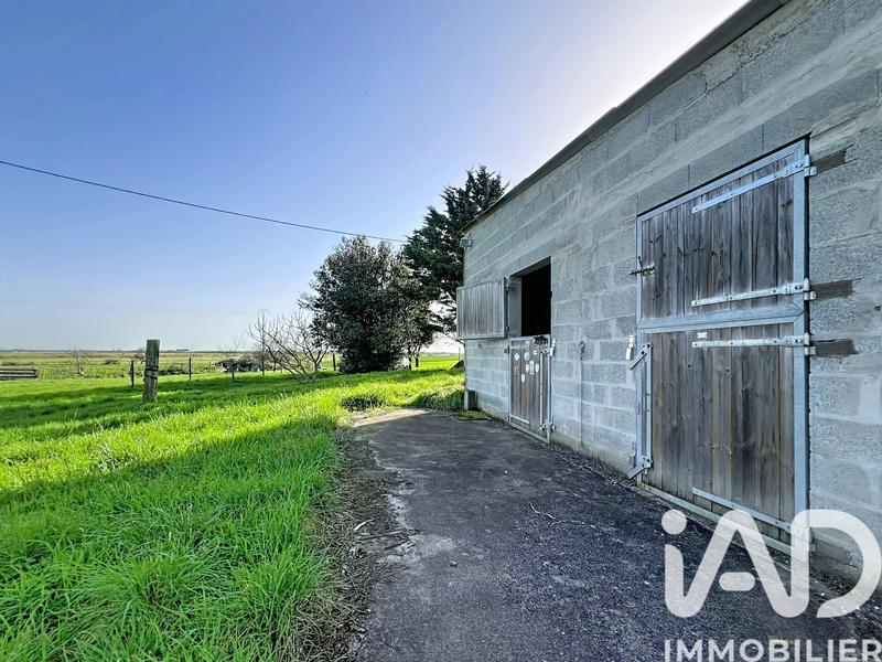 Maison - 230 m² - 6 pièces