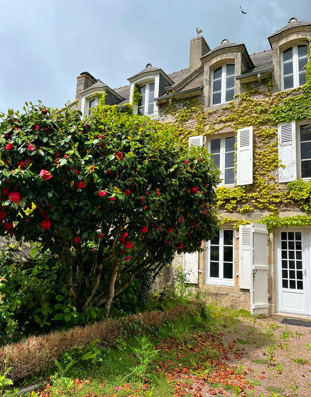 Maison en pierre - 290 m² - 9 pièces