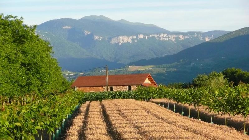 Maison - 217 m² - 9 pièces