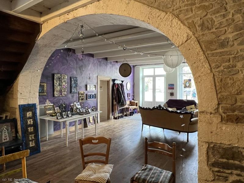 Maison de maîtres - 294 m² - 8 pièces