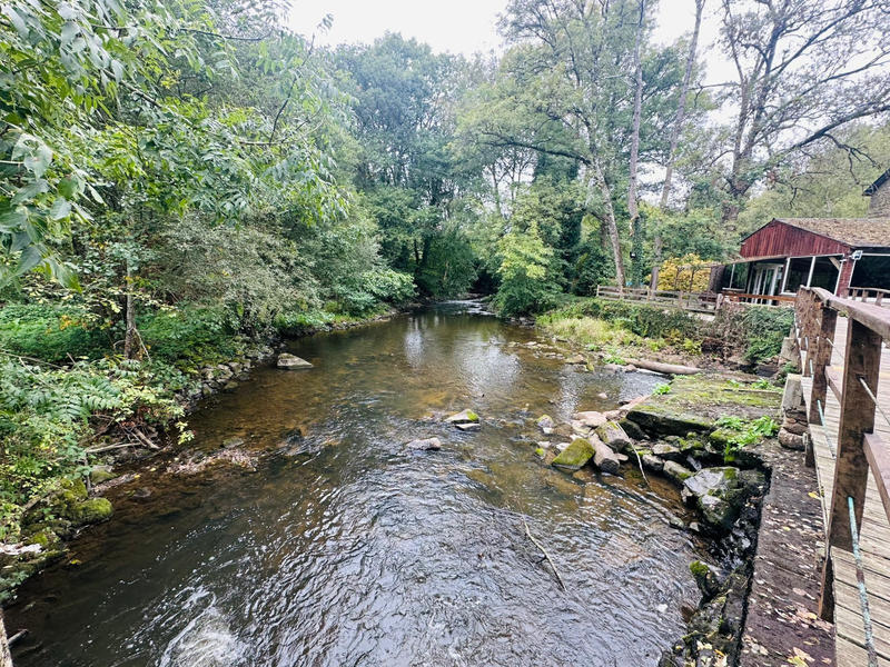 Maison - 310 m² - 8 pièces