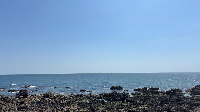 Appartement - 54 m² - 2 pièces