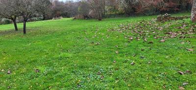 Terrain constructible - 2 014 m²