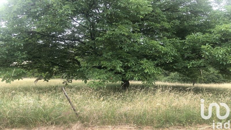 Maison - 244 m² - 8 pièces