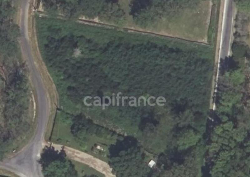 Terrain constructible - 3 921 m²