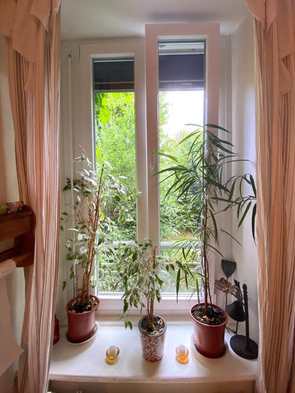 Appartement bourgeois - 104 m² - 5 pièces