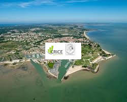 Local commercial - 75 m² - 3 pièces