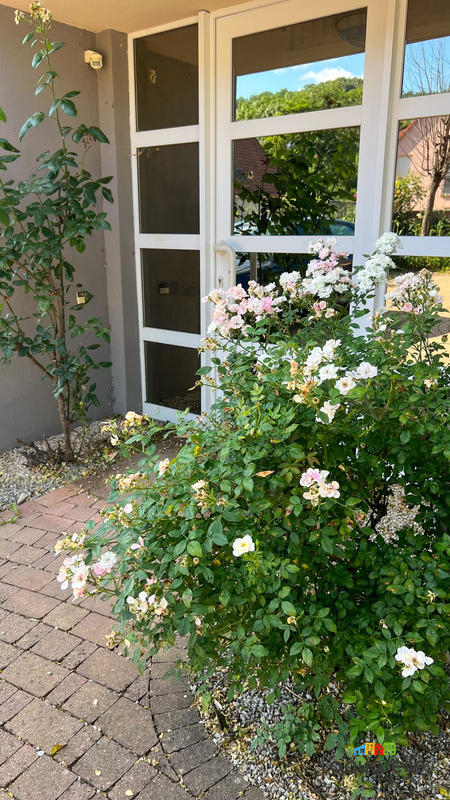 Maison - 250 m² - 7 pièces