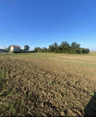 Terrain - 965 m²