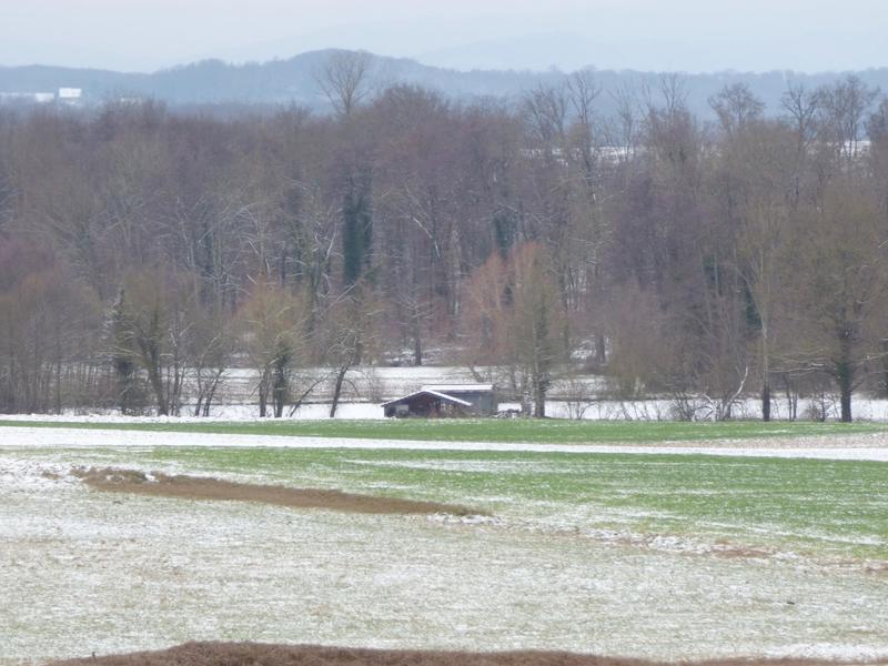 Terrain - 13 730 m²