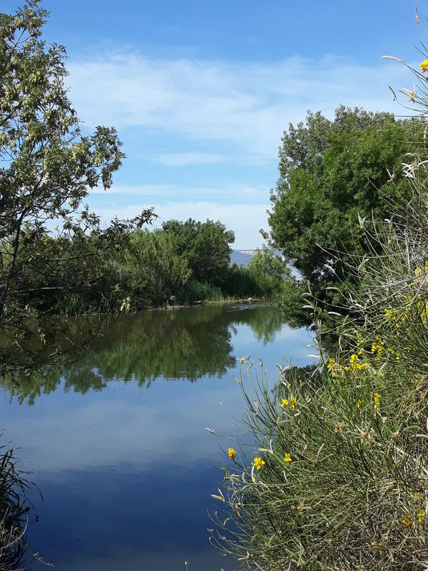 Randonnée commentée : Village de pêcheurs, pavillon de chasse et observatoire du milieu naturel