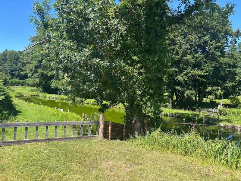 Maison - 371 m² - 7 pièces