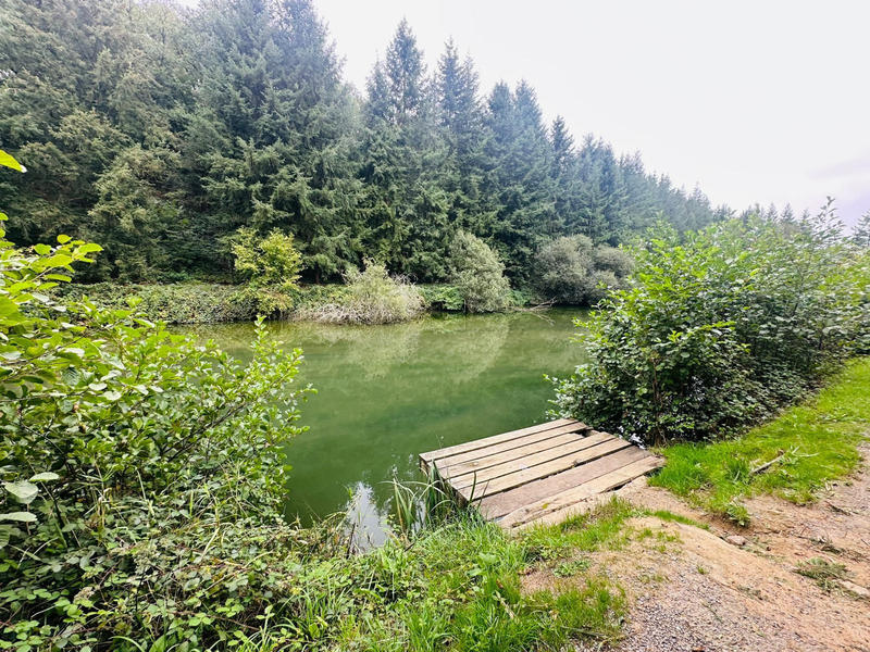 Maison - 310 m² - 8 pièces