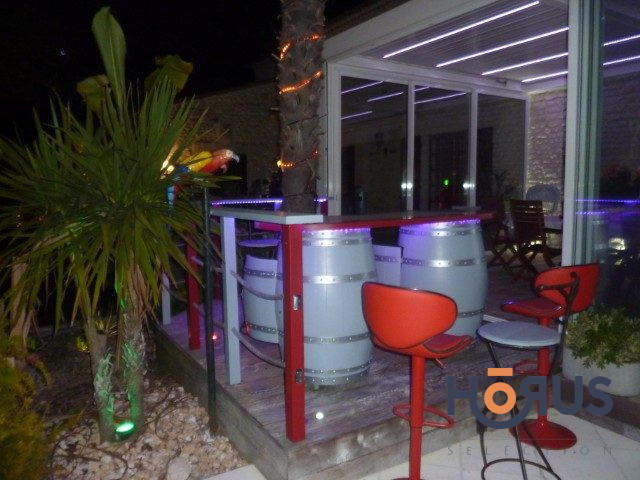 Viager - Maison ancienne - 367 m² - 14 pièces