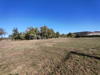 Terrain - 8 000 m²