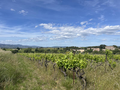 Terrain agricole - 6 590 m²