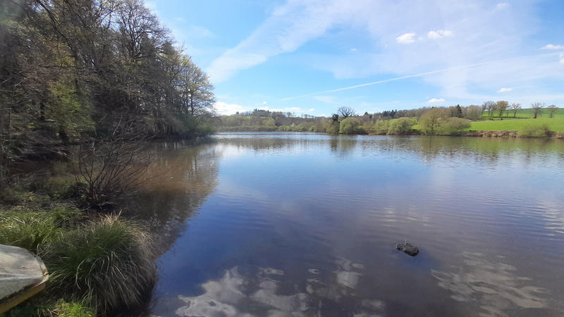 Terrain - 73 256 m²