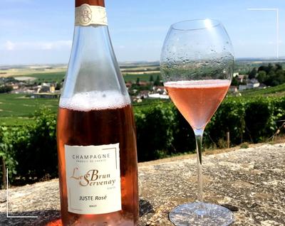 Champagne le Brun Severnay