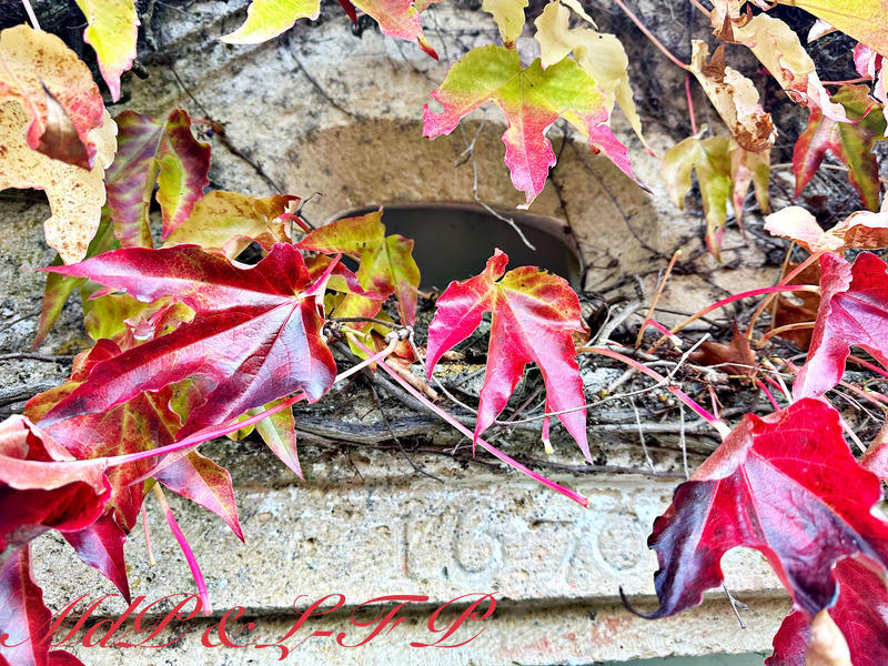 Maison - 711 m² - 11 pièces