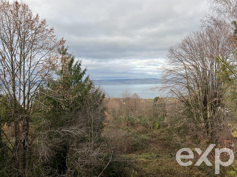 Maison ancienne - 265 m² - 7 pièces