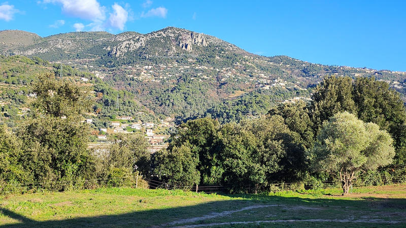 Terrain - 795 m²