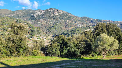 Terrain - 795 m²