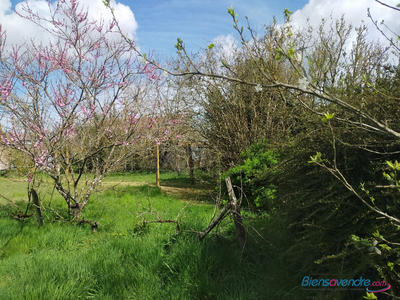 Terrain - 10 679 m²