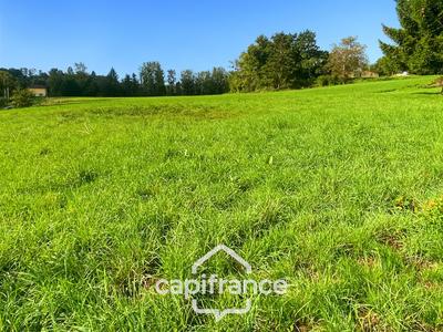 Terrain constructible - 1 989 m²