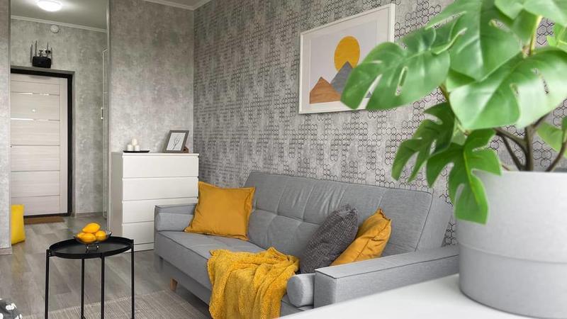 Studio - 24 m² - 1 pièce