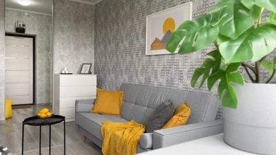 Studio - 24 m² - 1 pièce