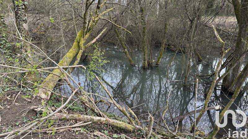 Terrain - 10 000 m²