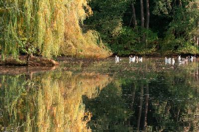 Maison - 290 m² - 7 pièces