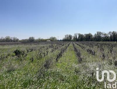 Terrain agricole - 5 975 m²