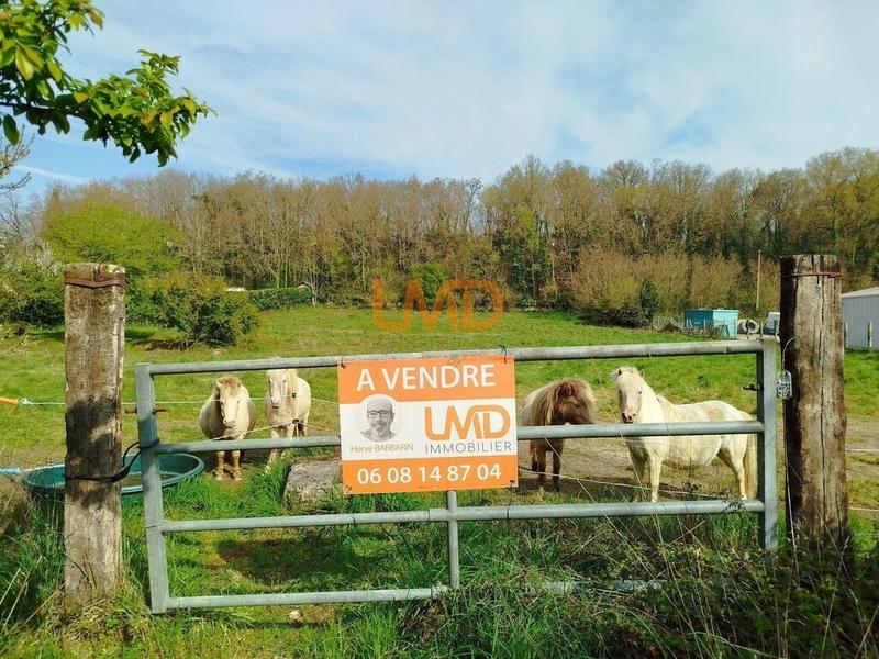 Terrain constructible - 4 500 m²