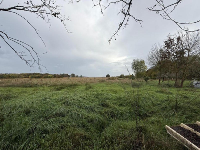 Hangar - 161 m² - 1 pièce