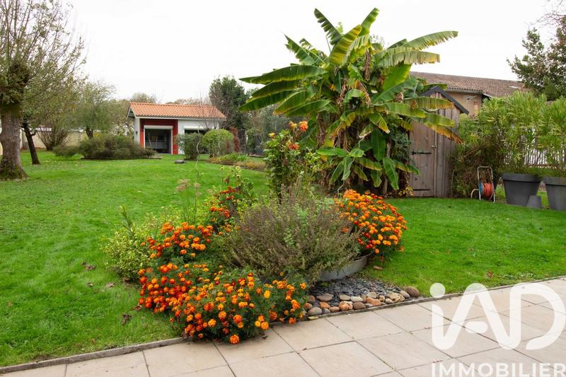 Maison - 134 m² - 5 pièces