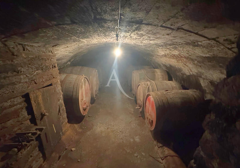 Maison - 373 m² - 9 pièces