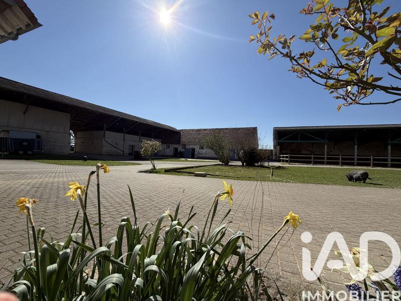 Maison - 250 m² - 8 pièces