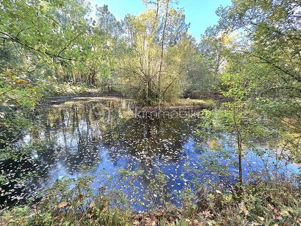 Maison - 187 m² - 7 pièces