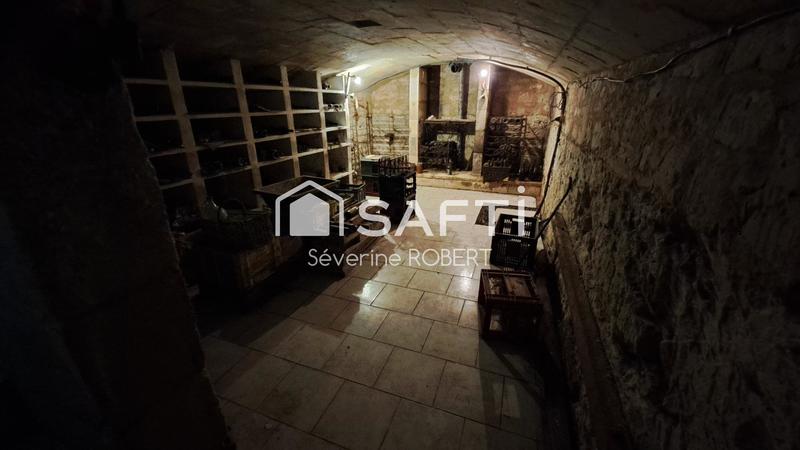 Maison - 550 m² - 15 pièces