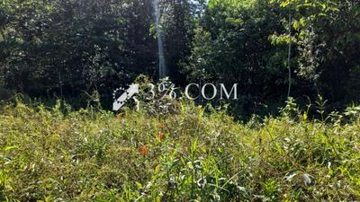 Terrain agricole - 4 687 m²