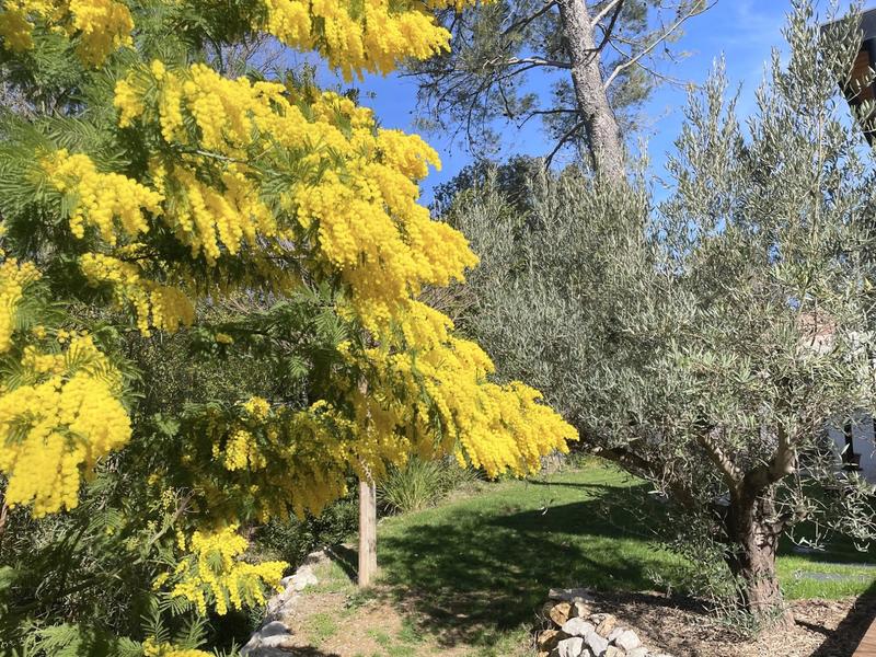 Villa - 220 m² - 5 pièces