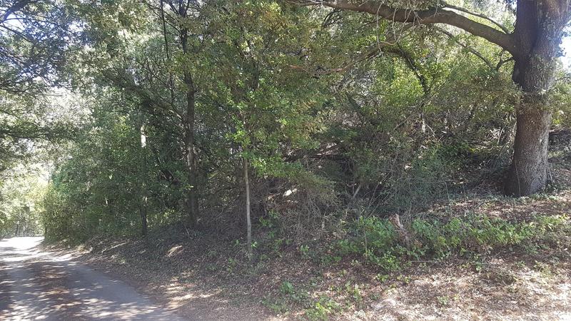 Terrain - 11 610 m²