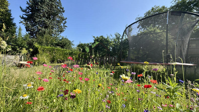 Maison ancienne - 195 m² - 10 pièces