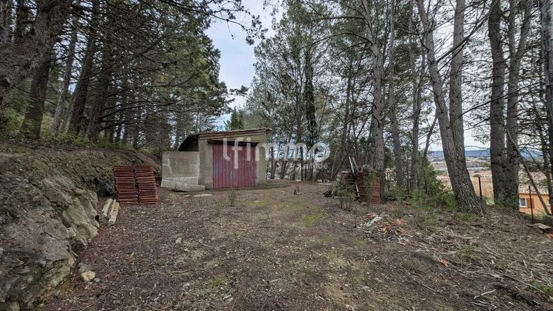 Terrain - 13 051 m²
